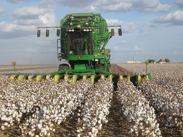 Cotton Growers Press Washington For Aid And Stability