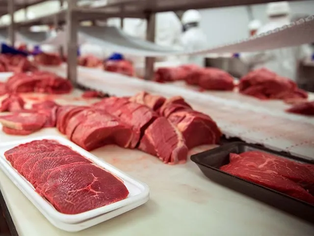 Kansas Labor Disruptions Raise Cattle Supply Chain Concerns