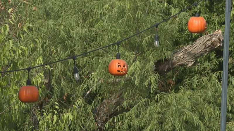 Boo at the Zoo set to return to the Abilene Zoo this October
