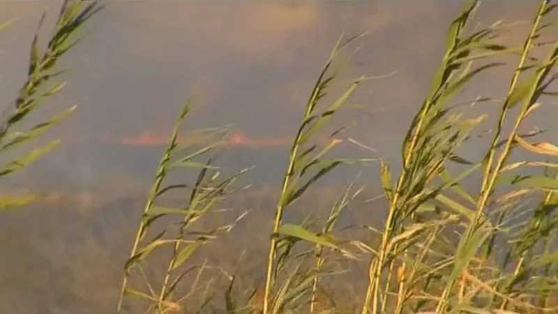 Travis County extends burn ban through late November