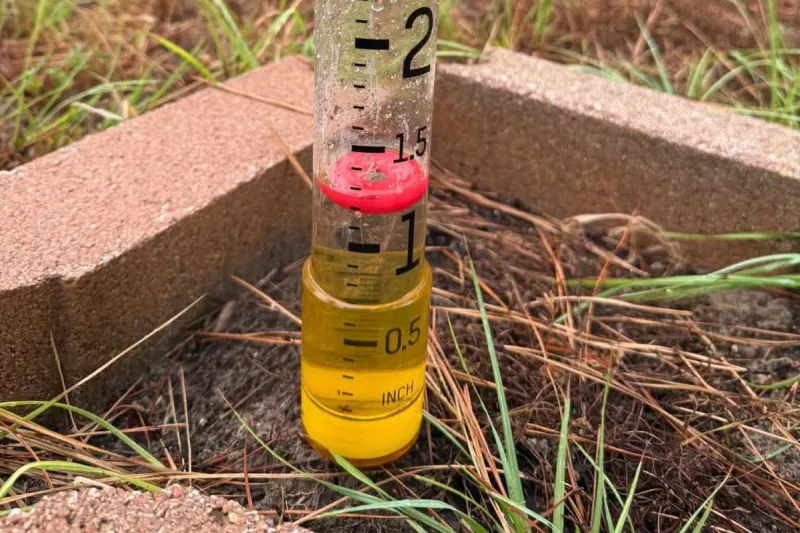 Deep East Texas Weather: A Decent Shot at Weekend Rain