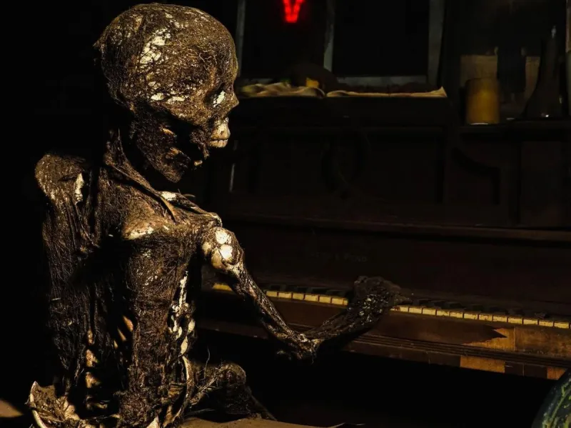 Nightmare On 19th Street Is Giving Away A Corpsed Skeleton