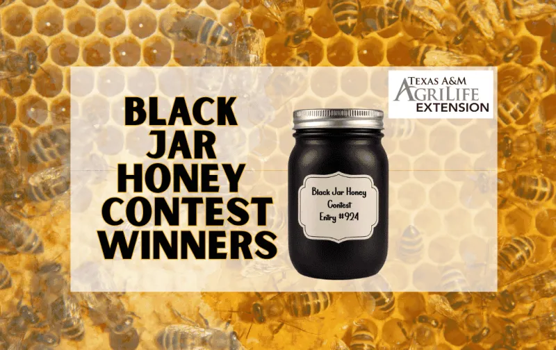 Black Jar Honey Contest Names 2026 Winners