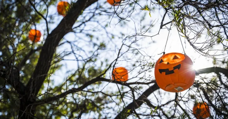 13 scarily fun Denton Halloween events to check out this October