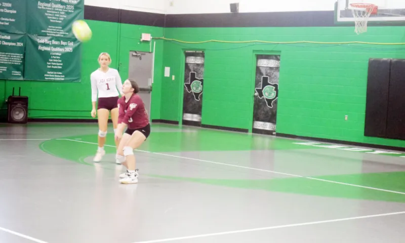 Lady 'Horns sweep past Gold-Burg