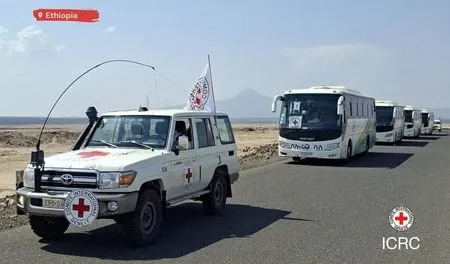 Explainer-Why renewed fighting in Ethiopia's Tigray risks a regional war
