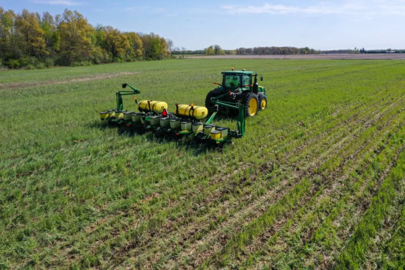 Cover Crops Show Payoff When Grazing Cuts Costs