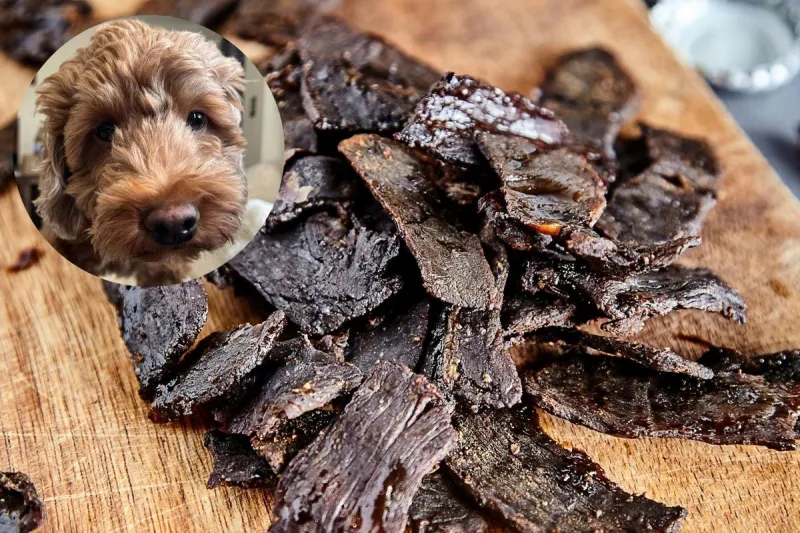 Come for the 'Jerk-Off,' Stay for the Beef Jerky and Adoptable Pets