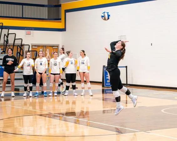 Volleyball Falls to Defending SCAC Champions