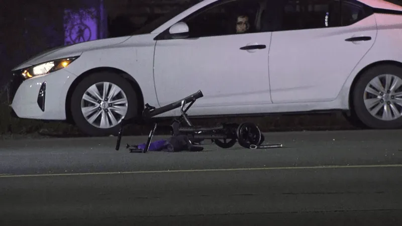 Late-night hit-and-run on FM 78 near Springfield Road leaves pedestrian dead
