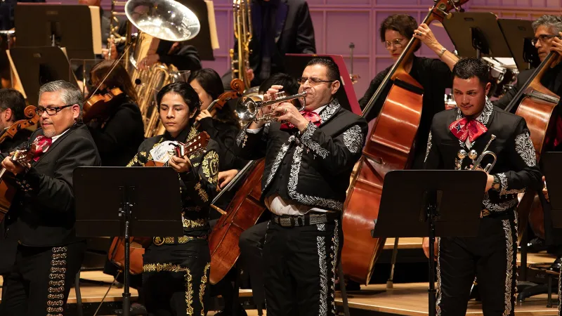 DSO Welcomes Fall Concerts in October