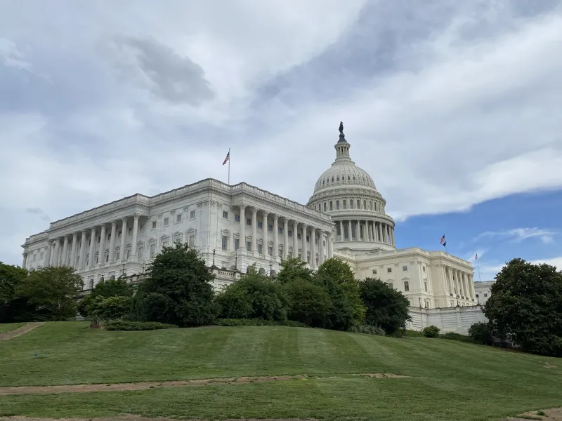 US House Dems' campaign chief predicts they'll gain majority control in midterms