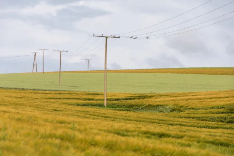 Xcel Proposes Data Center Tariff To Protect Customers