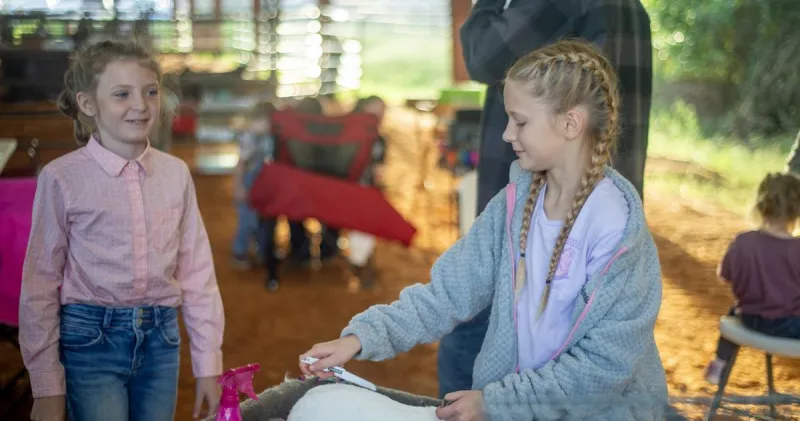 Fair is hopping with activity on first day with rabbit show