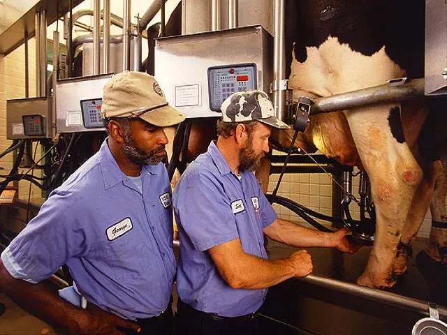 Higher Milk Components Deliver Bigger Checks For Dairies