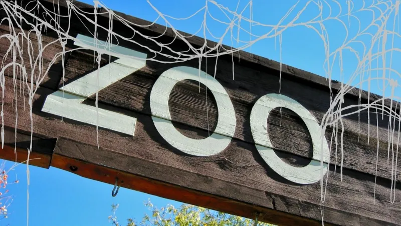 El Paso Zoo Reveals Its October Lineup of Fall Events