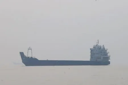 Iranian official says 'illegal routes' in Strait of Hormuz to soon be blocked