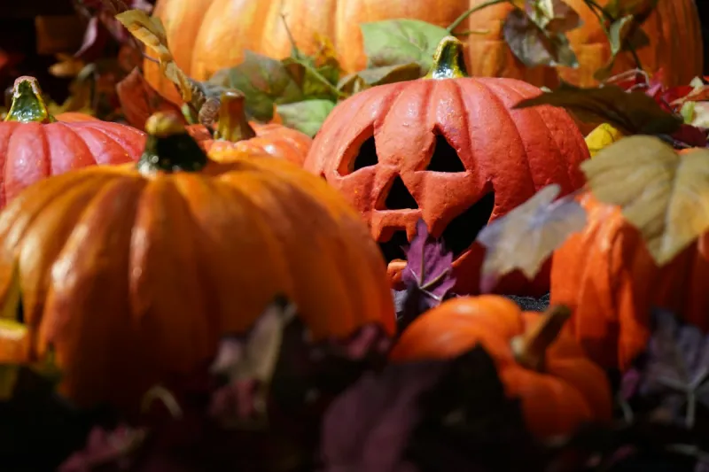 Halloween Events Pack Abilene And Big Country With Costumes, Music, Food This October