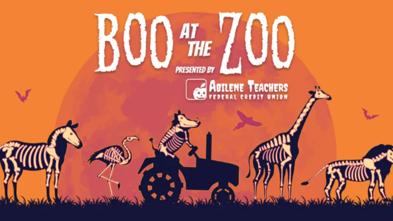 Boo at the Zoo preparations