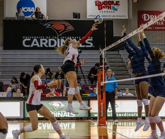 Volleyball Heads to SFA, Lamar for Week Three of Southland Play