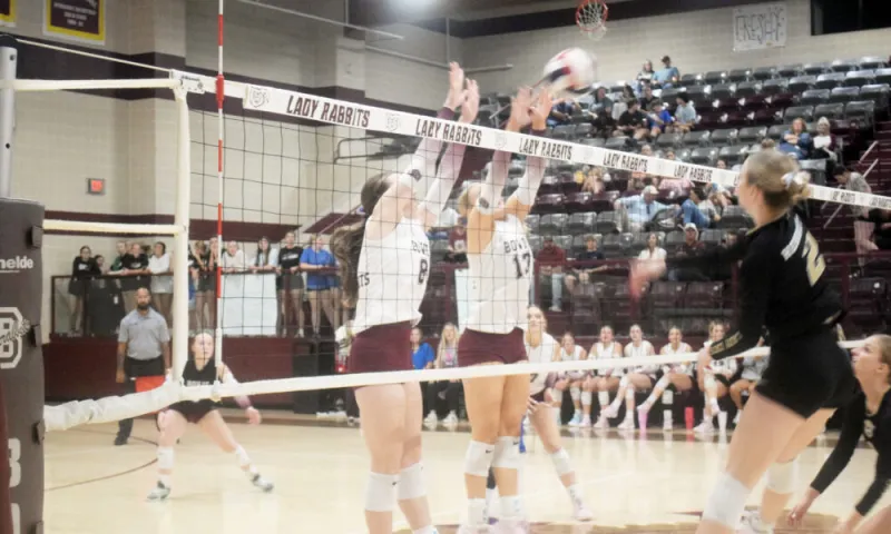 Lady Rabbits get past Henrietta