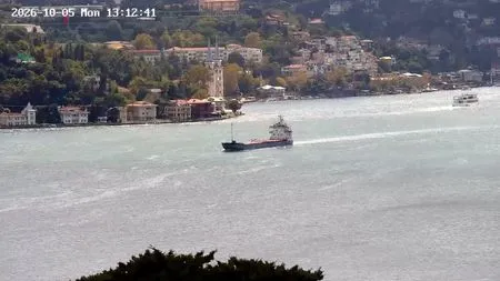 Syria calls for independent probe into sinking of ship in Black Sea