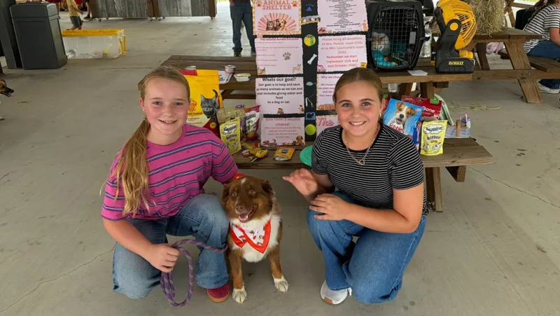 BURTON STUDENTS COLLECTING FOOD, SUPPLIES FOR SHELTER ANIMALS