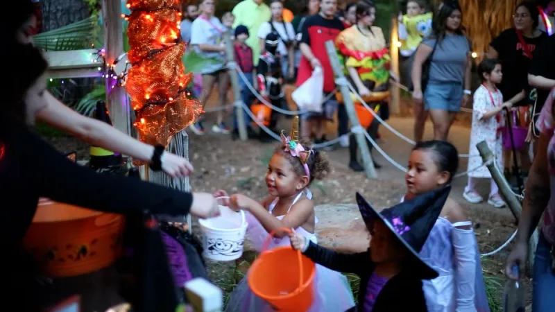 Ellen Trout Zoo Boo Returns October 16 And 17 For Halloween Fun
