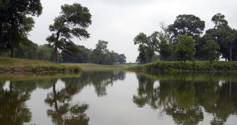 Institute launches in East Texas to address the region and state's largest water challenges