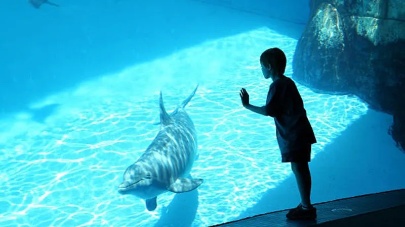 SeaWorld to host free benefit 5K run, walk supporting local school food pantries