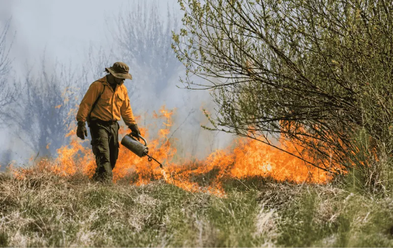 AgriLife Updates Online Prescribed Fire Training Course