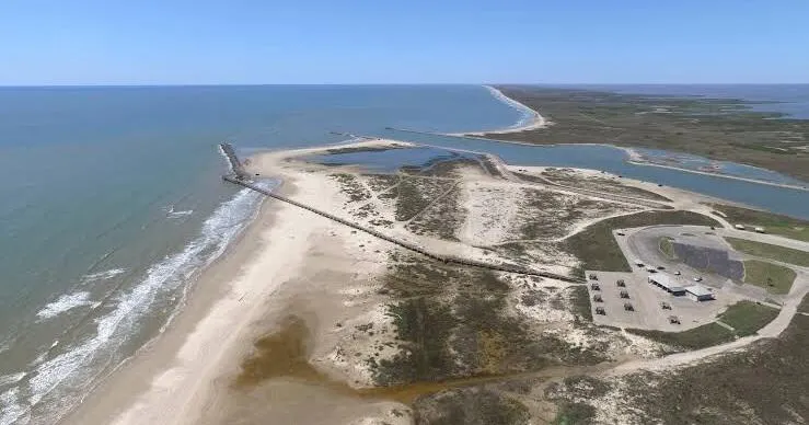 Red tide eases in Galveston, lingers in Matagorda
