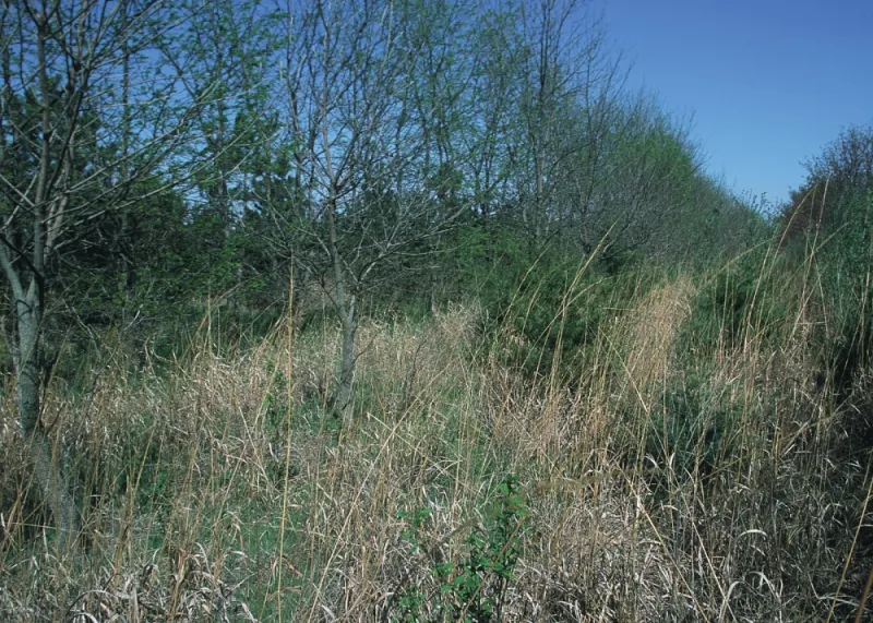 NRCS Lowers Barriers As Conservation Decisions Move Locally