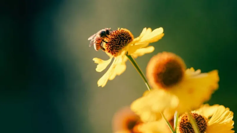 Police respond after man attacked by 'bee-type insects,' intersection closed off
