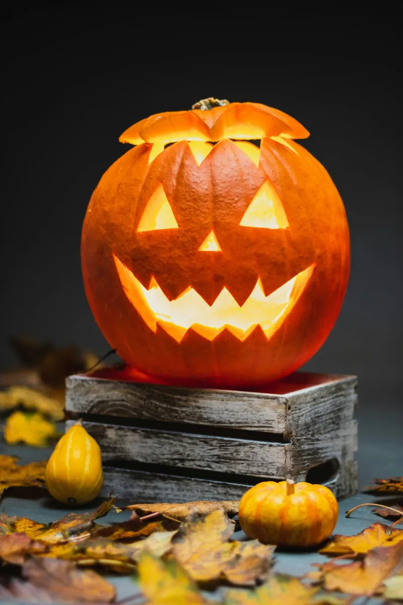 The New Halloween Horror: Why You Must Inspect Every Piece of Your Child's Candy