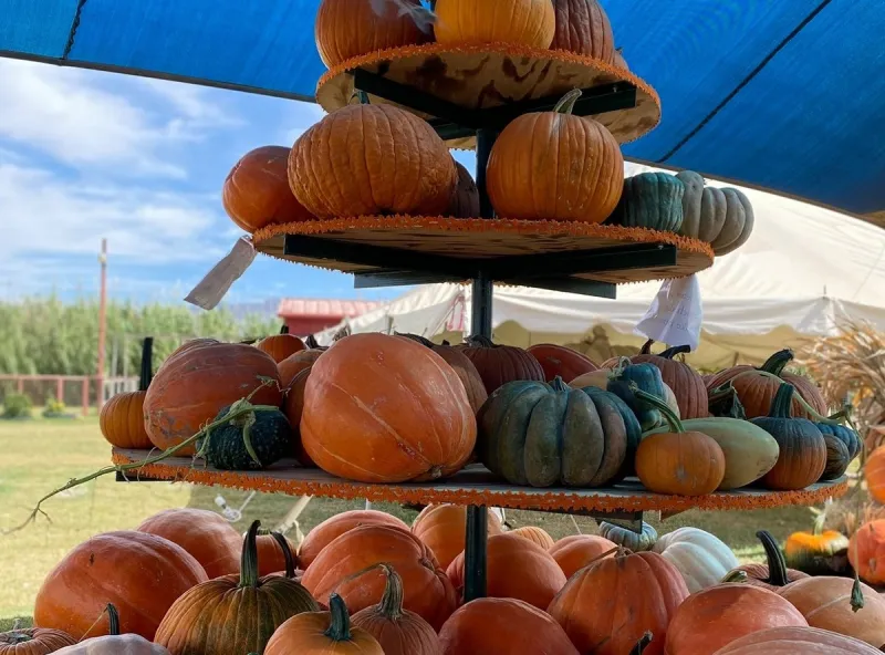 The El Paso Fall Events Guide You'll Want to Save
