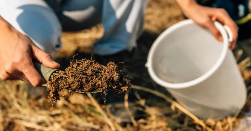 AGRILIFE INSIGHT: 4 Rs of Fertilizing 2026