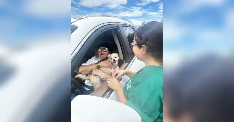 Pet owners line up for rabies clinic