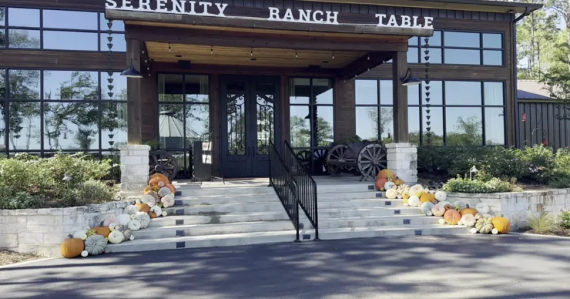 Decorating for fall with 903 Pumpkins