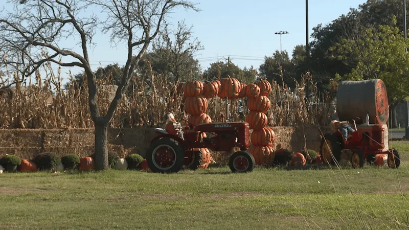 Abilene Zoo kicks off annual Boo at the Zoo celebration
