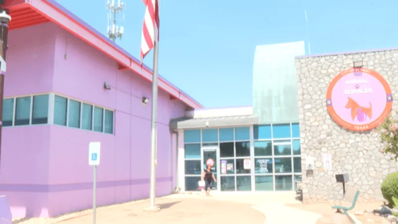 El Paso Animal Services opens Kitty Readers club