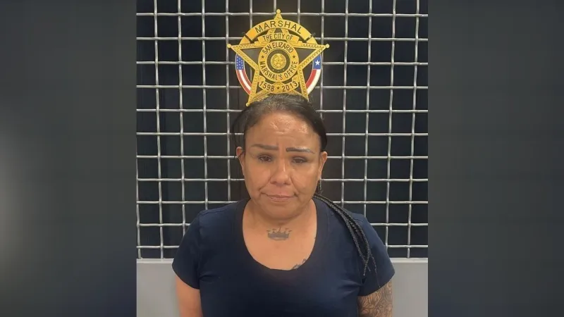 Expired registration stop in San Elizario leads to felony warrant arrest, deputies say