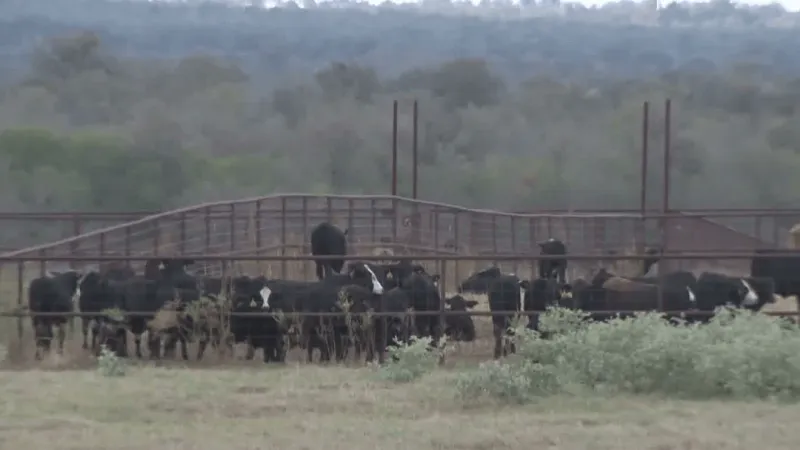 Bastrop County residents urge transparency on proposed data center, gas plant project