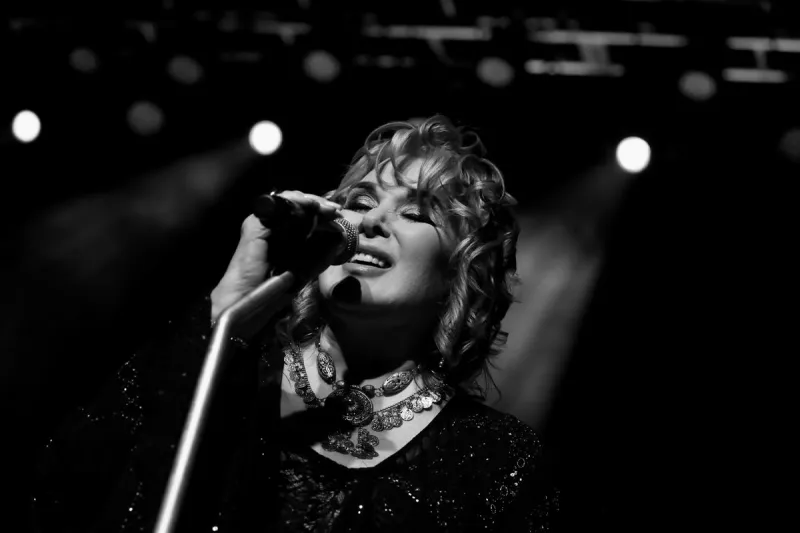 Ann Wilson 2026 Interview
