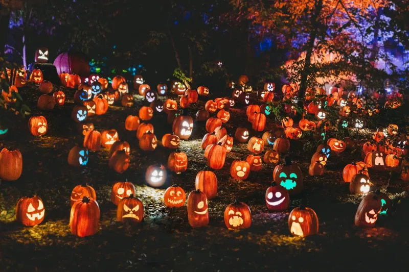 2026 Lubbock Pumpkin Trail Guide: Dates, Hours, Location & Free Admission