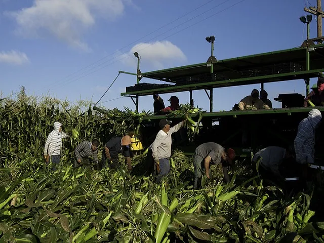 Federal Court Rejects Key H-2A Wage Rule Provisions