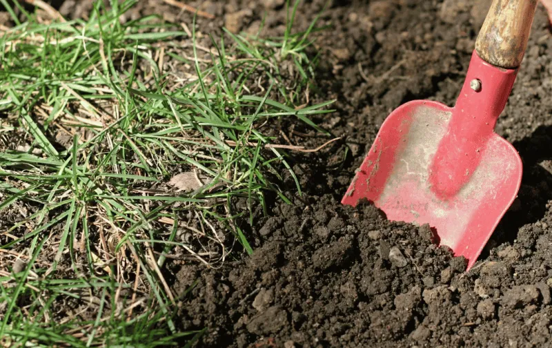 Austin County Soil Testing Campaign Offers Reduced Rates