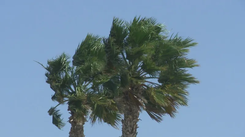 Weather Warn Thursday/Friday: Strong winds