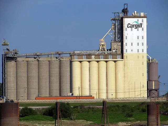 Kluis Sees Postharvest Basis Improvement For Stored Grain