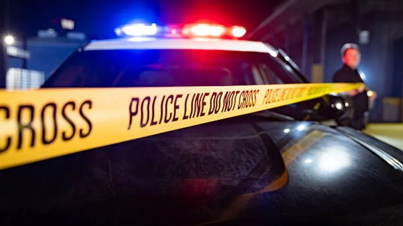 Victim fatally struck by speeding pickup truck while crossing street identified